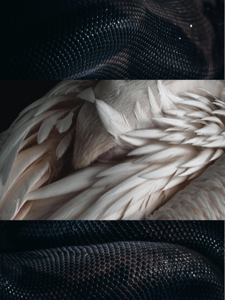 Untitled Design 768x1024